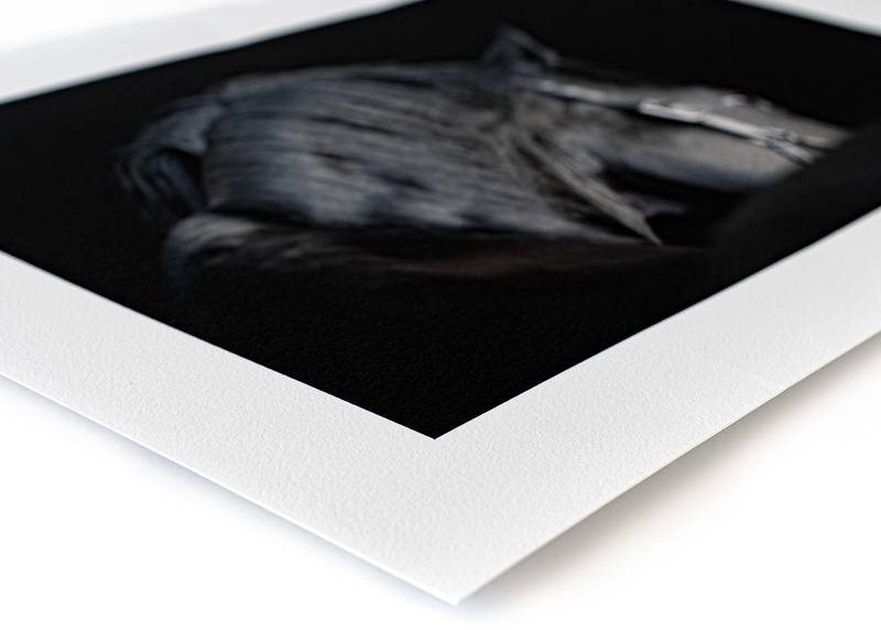 Example - Fine Art Prints